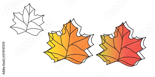 Bright maple doodles leaves.
Vector isolated design.