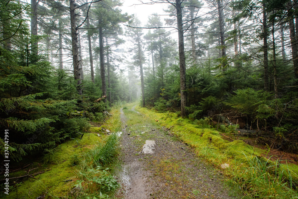 Obraz premium Hunter Mountain