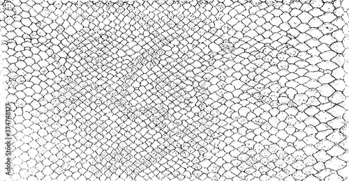 Snakeskin pattern imitation. Lines and spots structural texture. Cool and artsy faux leather background. Abstract vector illustration. Black isolated on white. EPS10