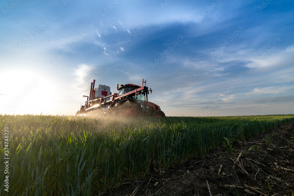 Tractor spraying wheat in field Tractor spraying wheat in field