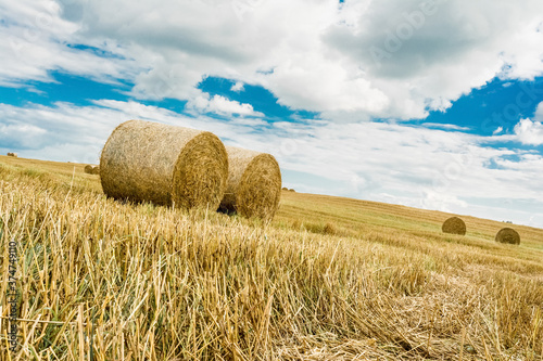 Round bales of hay on farmland with blue cloudy sky