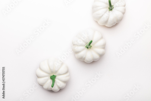 White Pumpkins on light background as minimal autumn concept  flat lay  top view. Halloween or Thanksgiving Holiday backgrounds