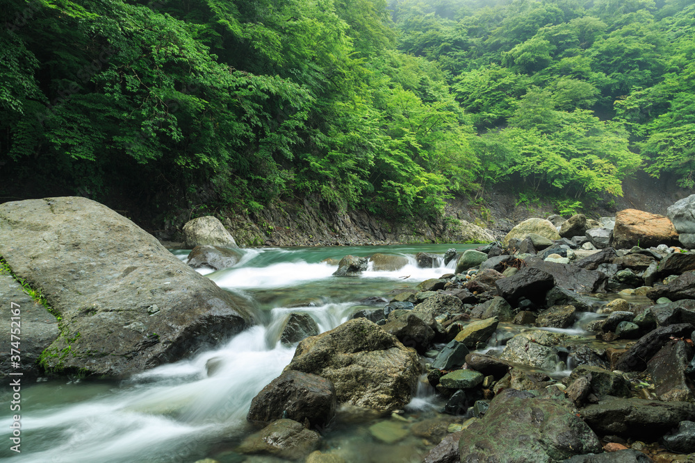 キャンプ 清流 キャンプ 清流