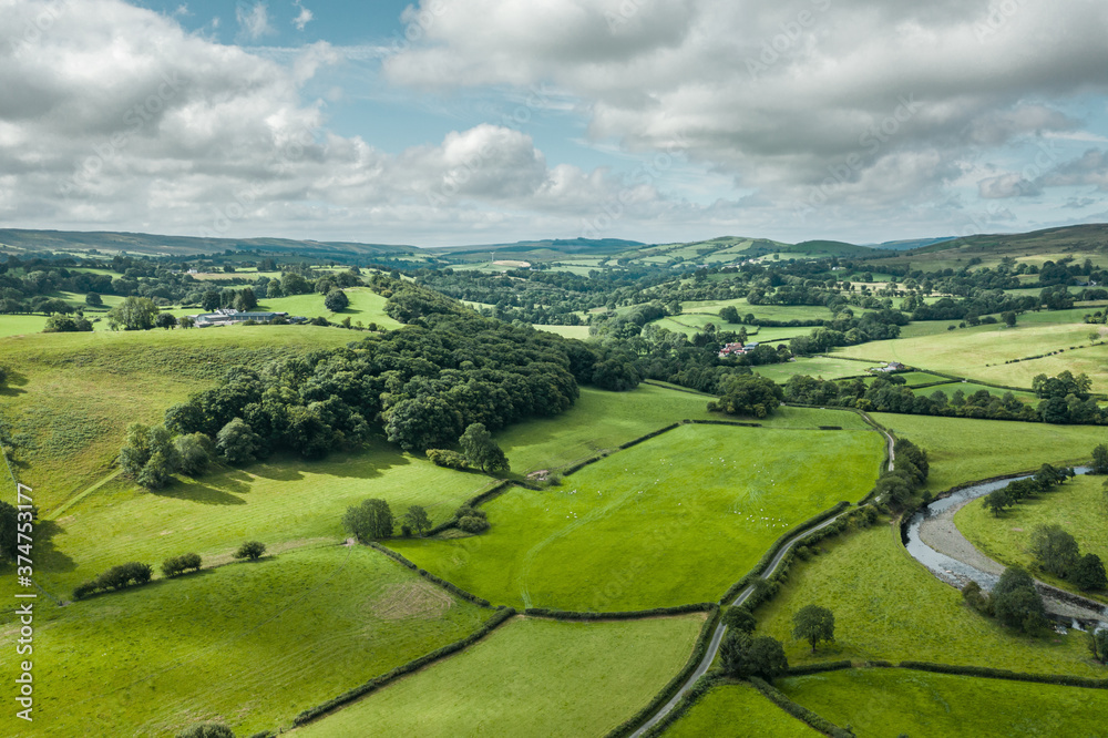 Green Farming Fields in Wales