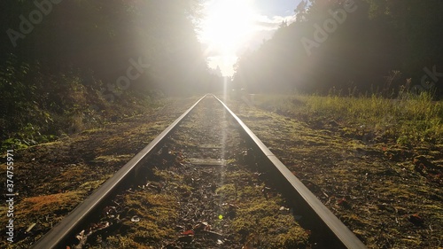 Train rails leading to the sun, in the forest