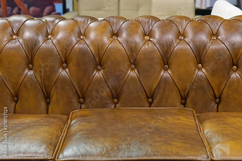 Canvas Print Leather upholster