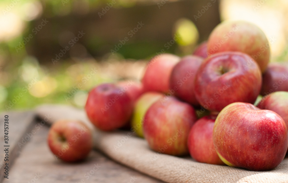 apples on the wood box in the nature blurred background with bokeh lights
apples on the wood box in the nature blurred background with bokeh lights