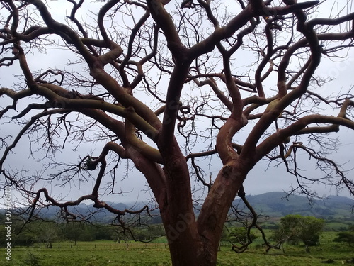 Camino a Punta Roca Partida, Veracruz, México