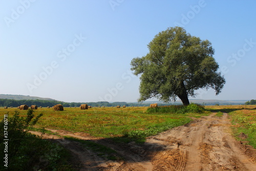 road in the countryside