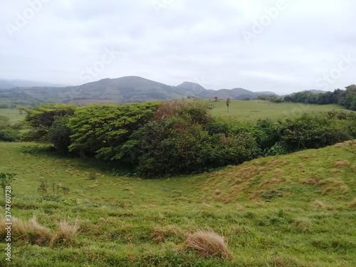 Camino a Punta Roca Partida, Veracruz, México