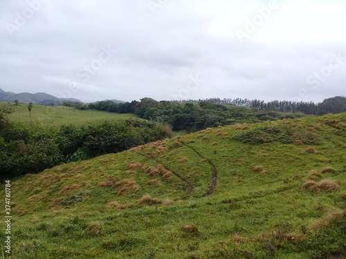 Camino a Punta Roca Partida, Veracruz, México
