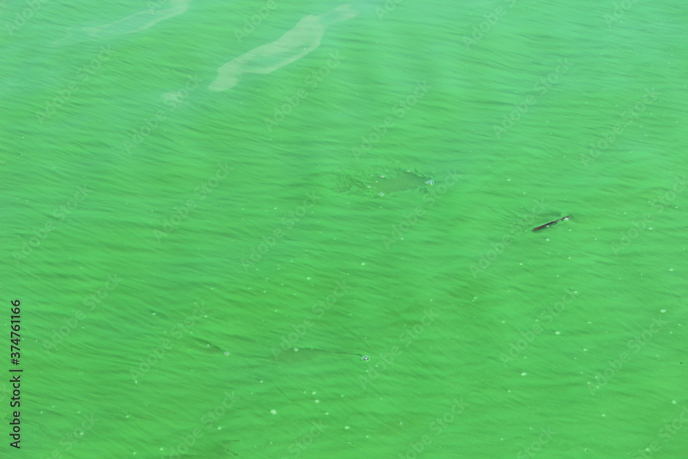 green water green water