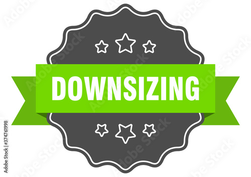downsizing label. downsizing isolated seal. sticker. sign