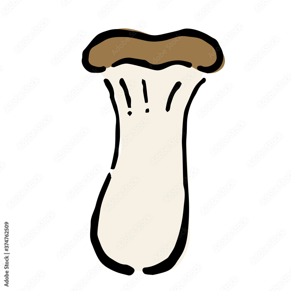 Illustration of Eringi mushroom: Illustration like hand drawn illustration with ink and brush