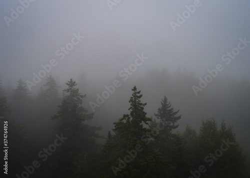 mist in the mountains