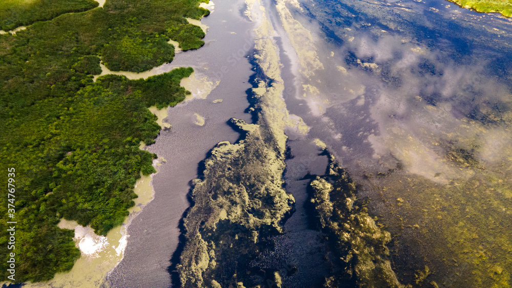 Distant aerial view of a wetland and forest in summer