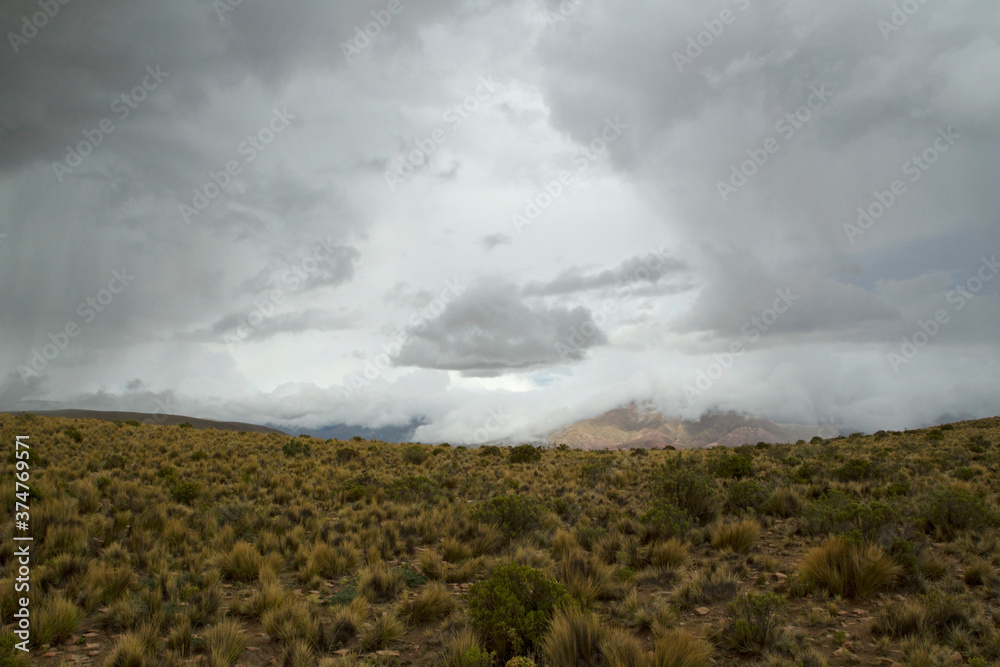 The golden meadow in autumn. View of the hills yellow grassland under a stormy sky. 