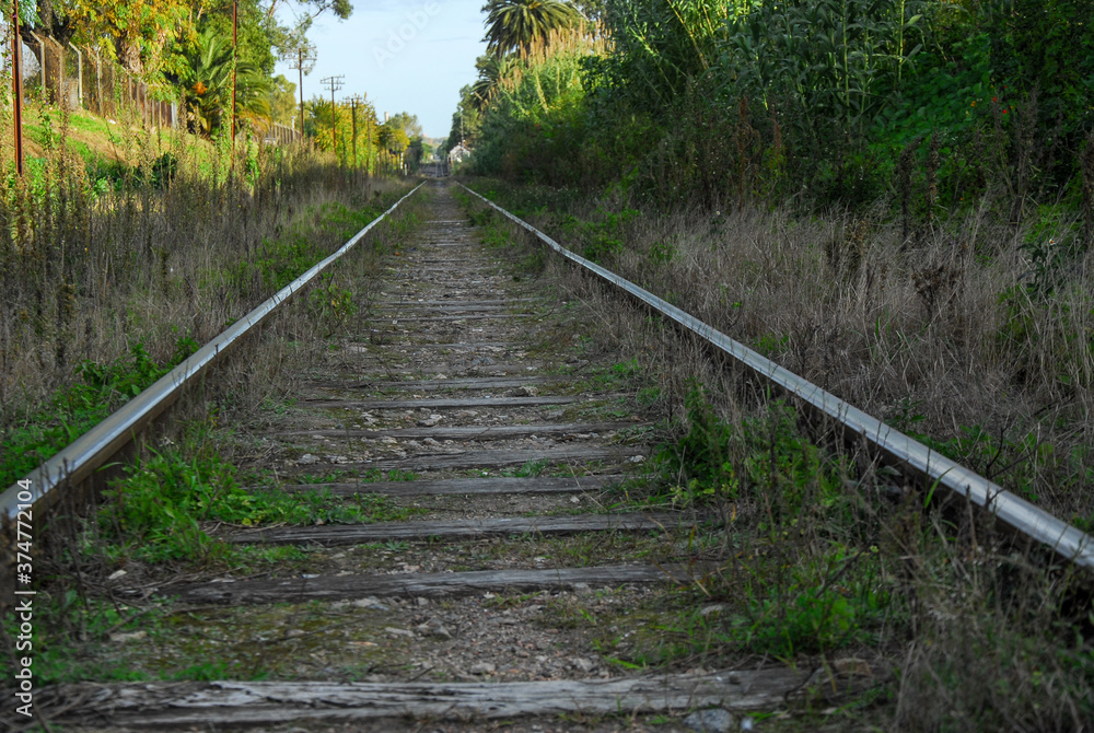 Obraz premium abandoned railway tracks