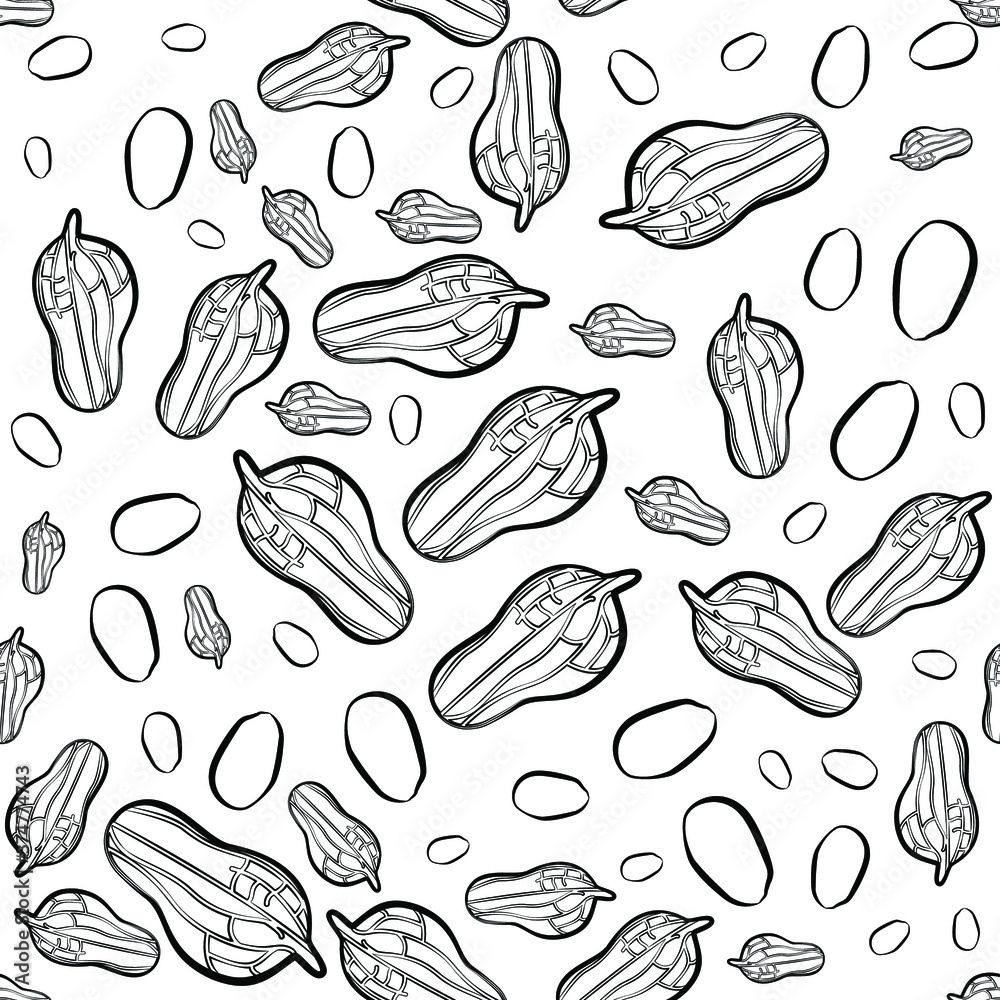 Peanuts Seamless vector pattern in sketch style Line print with peanuts in shell and seeds on white background Peanuts Seamless vector pattern in sketch style Line print with peanuts in shell and seeds on white background