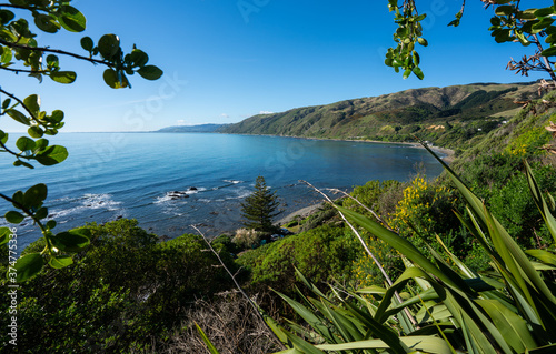 Obraz na płótnie View of Pukerua Bay on the coast near Wellington New Zealand on a sunny day w salonie