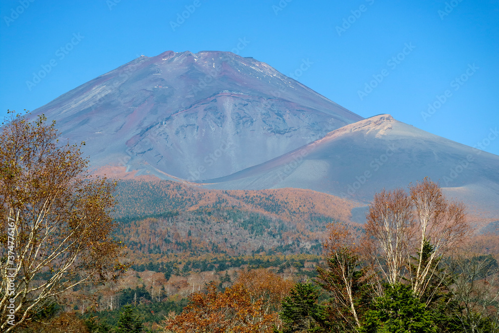 Fototapeta premium 富士山の秋