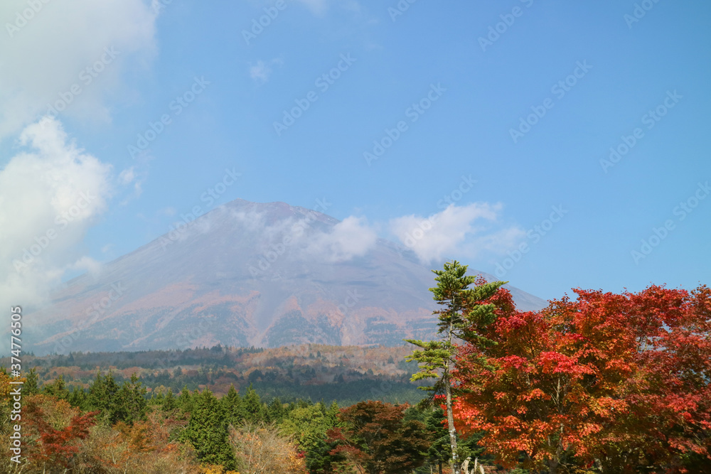 Fototapeta premium 富士山の秋