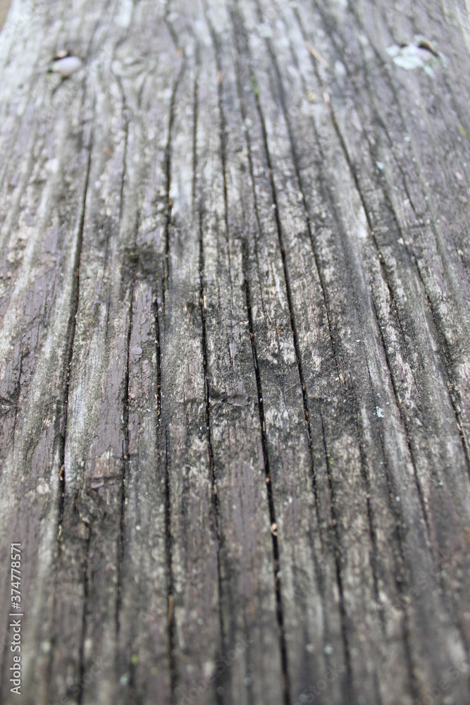 Obraz premium old wood texture
