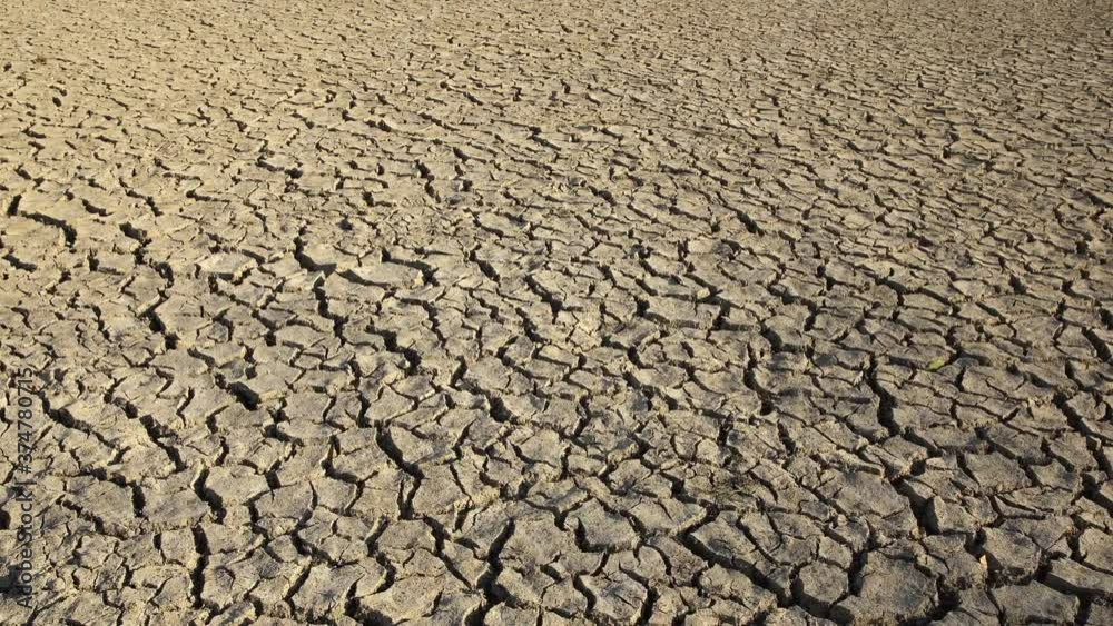 Dried and cracked land in severe drought Dried and cracked land in severe drought