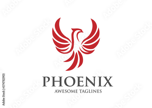 best phoenix bird logo design,luxury phoenix logo concept,  phoenix vector logo