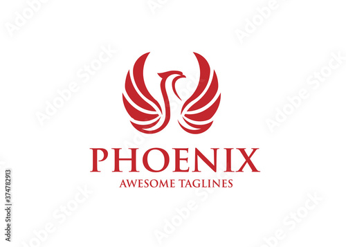 best phoenix bird logo design,luxury phoenix logo concept,  phoenix vector logo