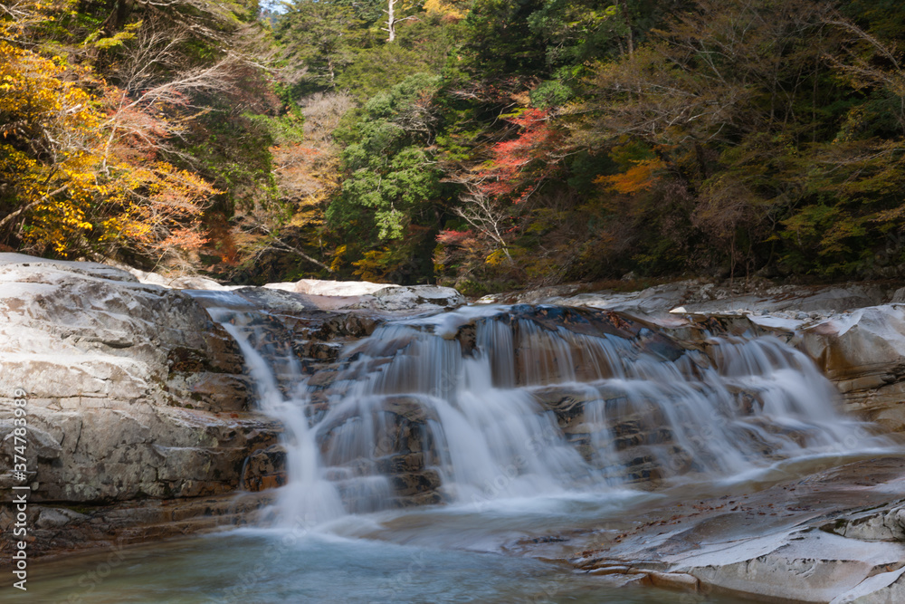 Appreciate the autumn leaves of Japan Appreciate the autumn leaves of Japan