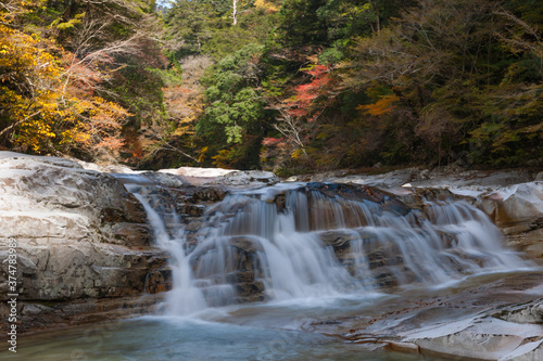 Appreciate the autumn leaves of Japan