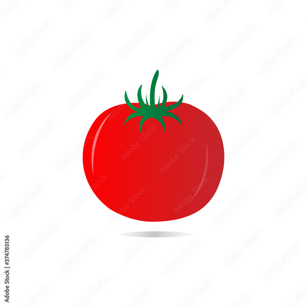simple vector illustration of fruit simple vector illustration of fruit