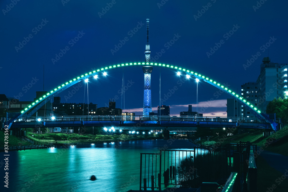 Obraz premium 東京スカイツリーの夜景（弓と矢）