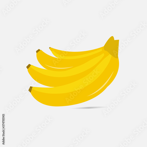 simple vector illustration of fruit