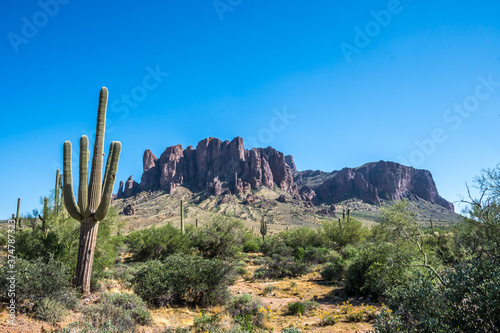 An overlooking view of nature in Apache Junction, Arizona © CheriAlguire