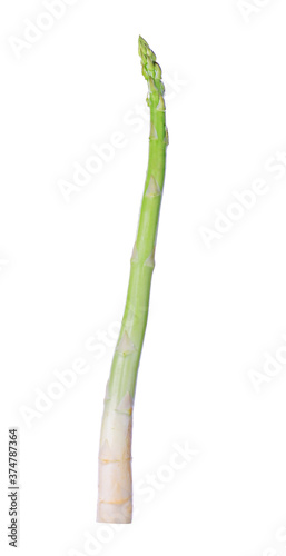 green asparagus isolated on white background.