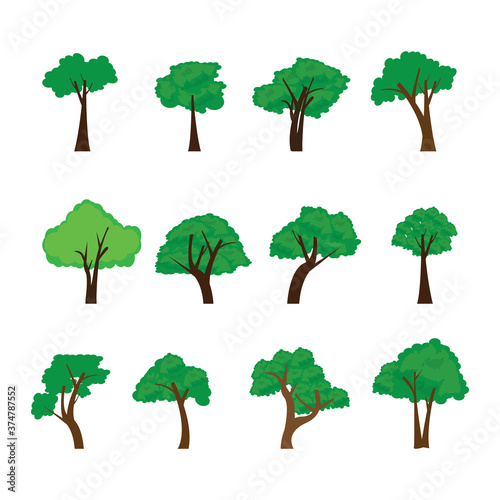 collection of trees  simple vector illustration