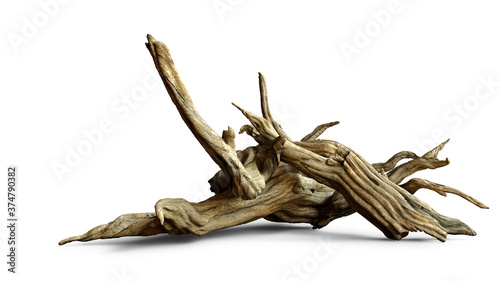 driftwood isolated on white background, aged branches 