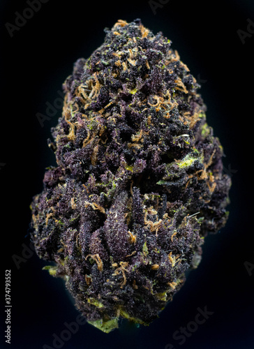 Marijuana Cannabis on Black Background