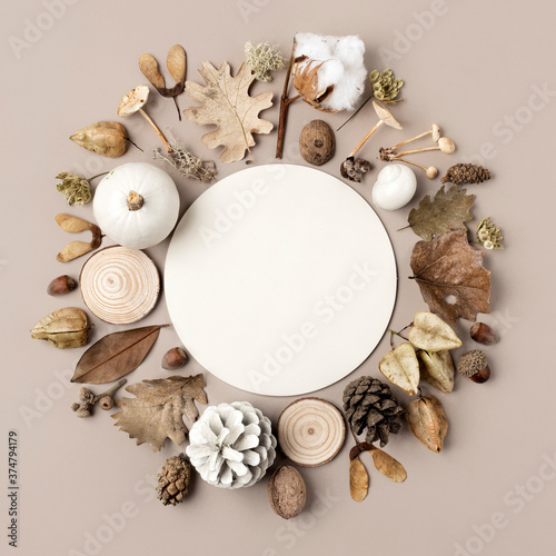 Creative layout made of autumn leaves, pine cone, cotton flower and acorn with copy space frame. Flat lay, frame, copy space, circle. Fall nature concept.