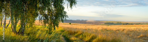 Summer rural panoramic landscape with golden wheat field and country road during sunset