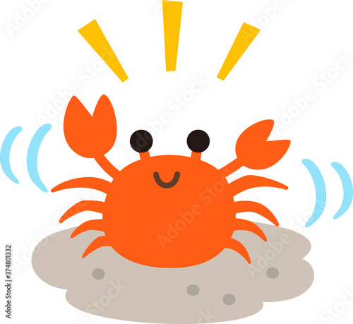 砂の上を横歩きするカニ