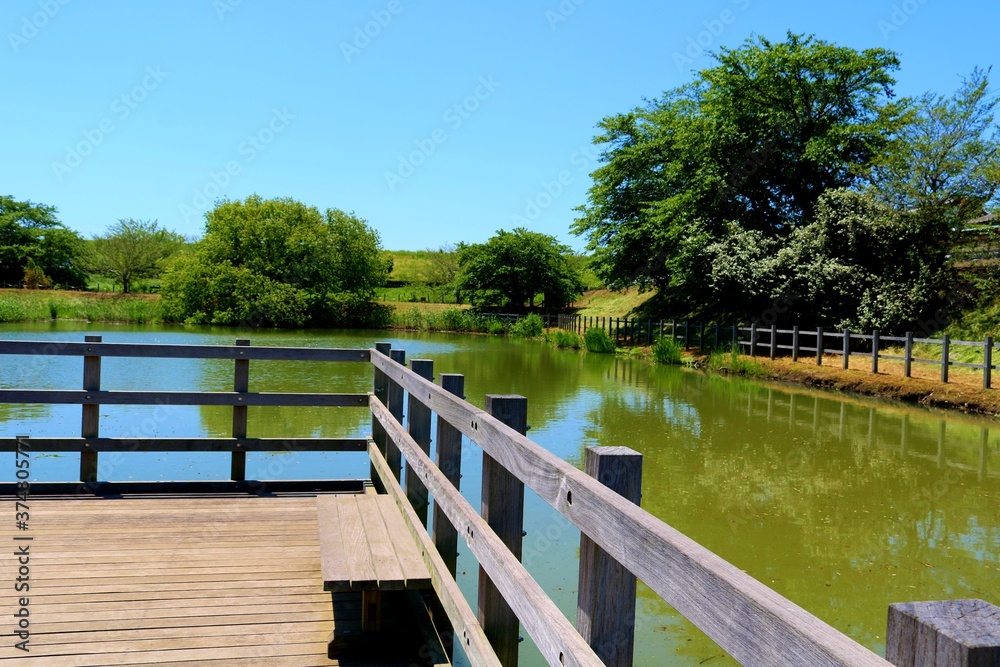 新緑　春の青空　池　風景　