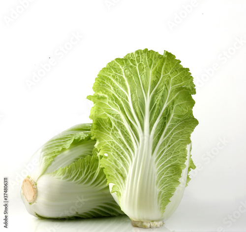 Chinese cabbage/ Napa cabbage. 