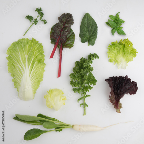 Assorted salad greens.
Kale, chinese cabbage, basil, parsley, lettuce, Iceberg lettuce, spinach, radish, loose leaf lettuce, swishchard, lollo rosso.     