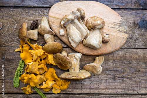 Autumn mushroom picking - porcini mushrooms and chanterelles on a wooden table