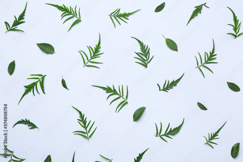 Green leaves on light background Green leaves on light background