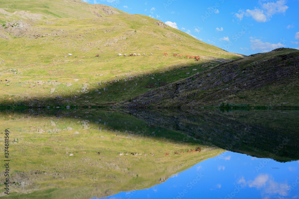 Horses and cows in a meadow by a lake in a mountain valley. Mountains landscape in summer.Pyrenees.Spain