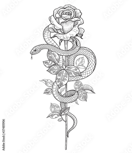 Vector Twisted Snake and Rose Flower
